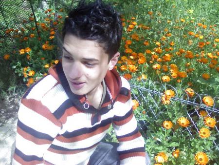 C mon ami malek